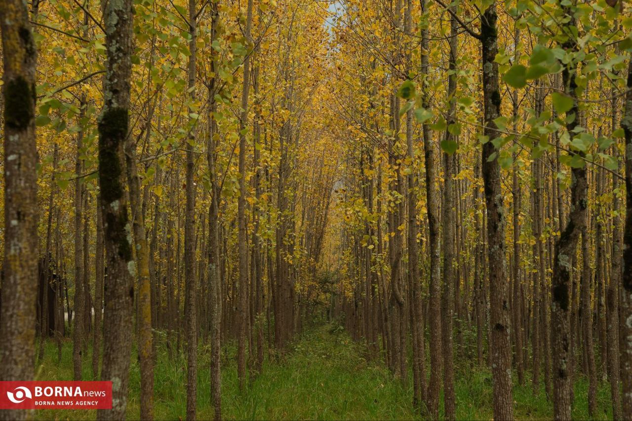 مجموعه تفریحی نمک‌آبرود