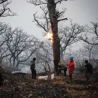 بالگردها دیر رسیدند، جنگل بیابان شد