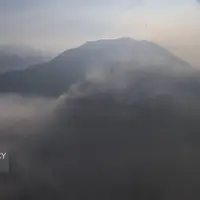 افلاطونی: آتش سوزی جنگل الیت پس از یک هفته مهار شد