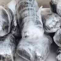 کشف ۳۳۰ کیلوگرم تریاک در رامهرمز