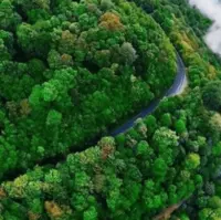 مسیرهای منتهی به جنگل‌های مازندران مسدود شد