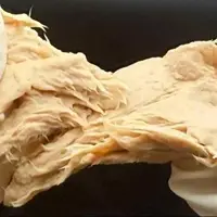 قارچی که انتشار گازهای گلخانه‌ای را کاهش می‌دهد و طعم گوشت دارد