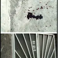 عامل جنایت مسلحانه در مشهد بر دار مجازات آویخته شد