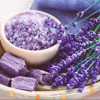 اسطخودوس درمانگر و نابود کننده حافظه !