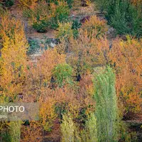 پاییزِ هزاررنگ در روستای شیت طارم