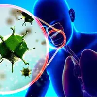 نکتههای پیشگیری از ابتلا به آنفلوآنزا