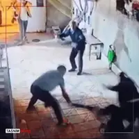 دستگیری ۳ متهم اصلی حمله به زوج سالخورده در اهر