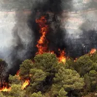  رئیس سازمان مدیریت بحران: آتش‌سوزی جنگل‌های الیت تقریبا مهار شد