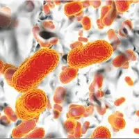 «مقاومت میکروبی» چگونه مرگبار میشود؟