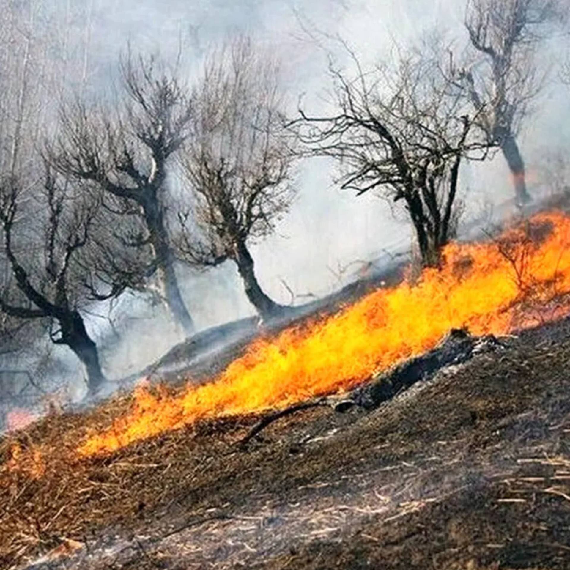 آتش توسعه معیوب