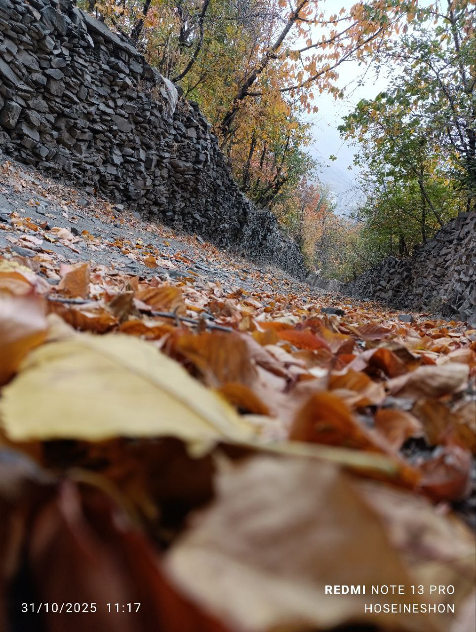 طبیعت پاییزی زشک مشهد