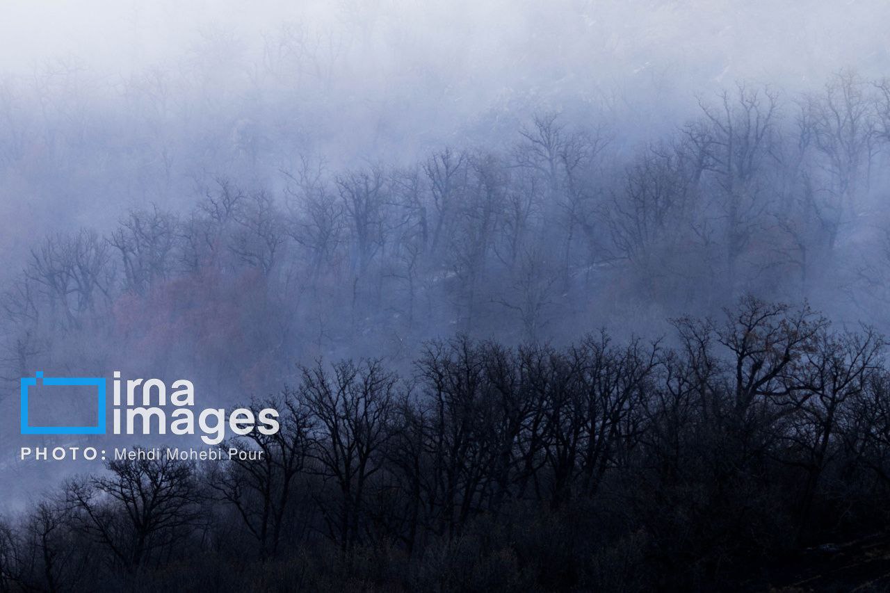 عکس/مهار آتش‌سوزی جنگل الیت
