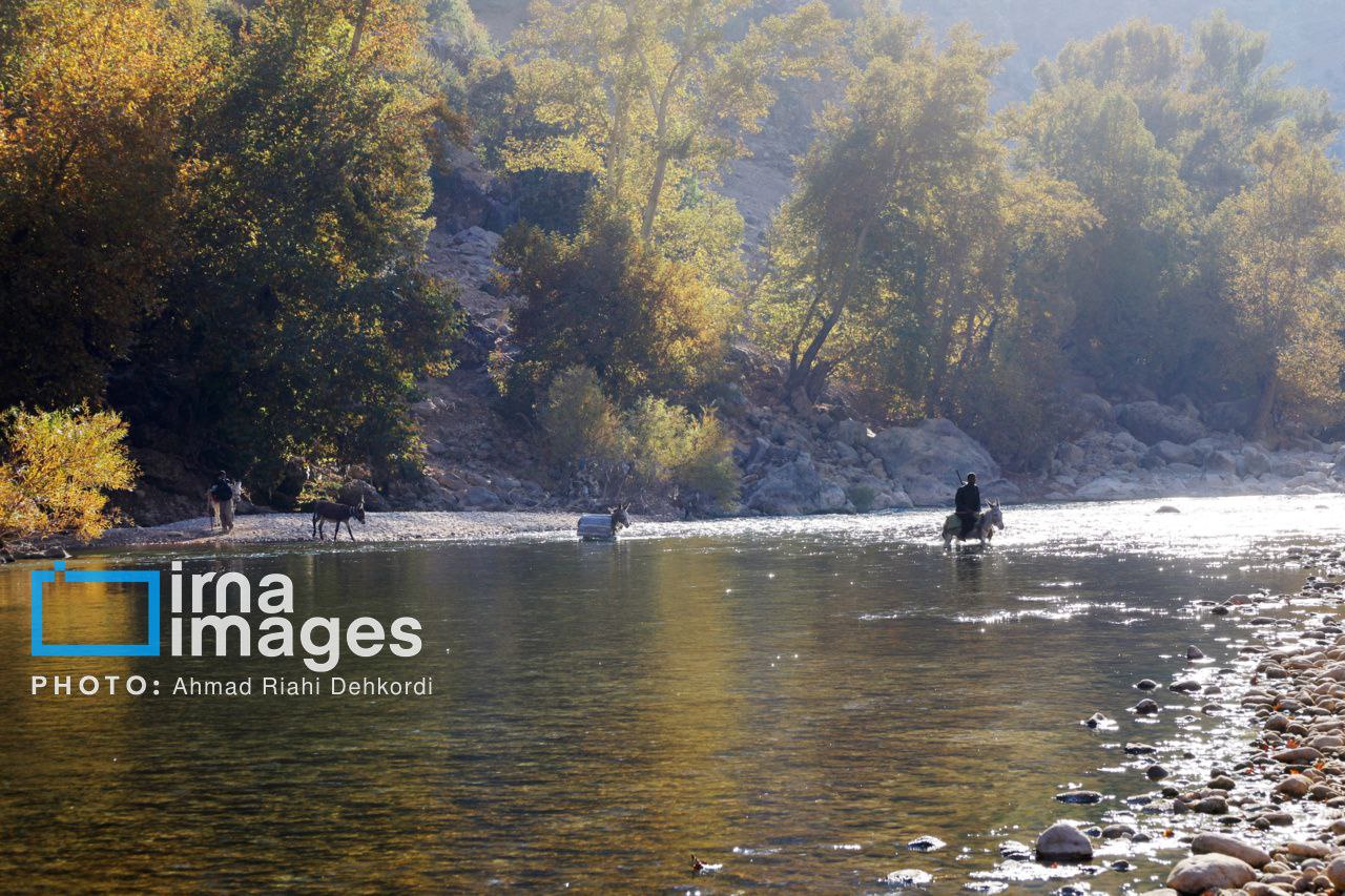 آبشار «زردلیمه» سکوت پاییزی زاگرس