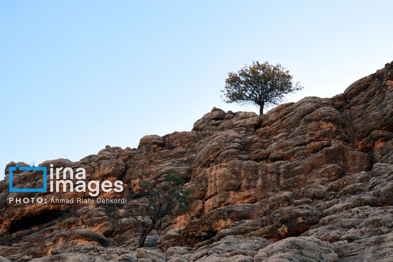 آبشار «زردلیمه» سکوت پاییزی زاگرس