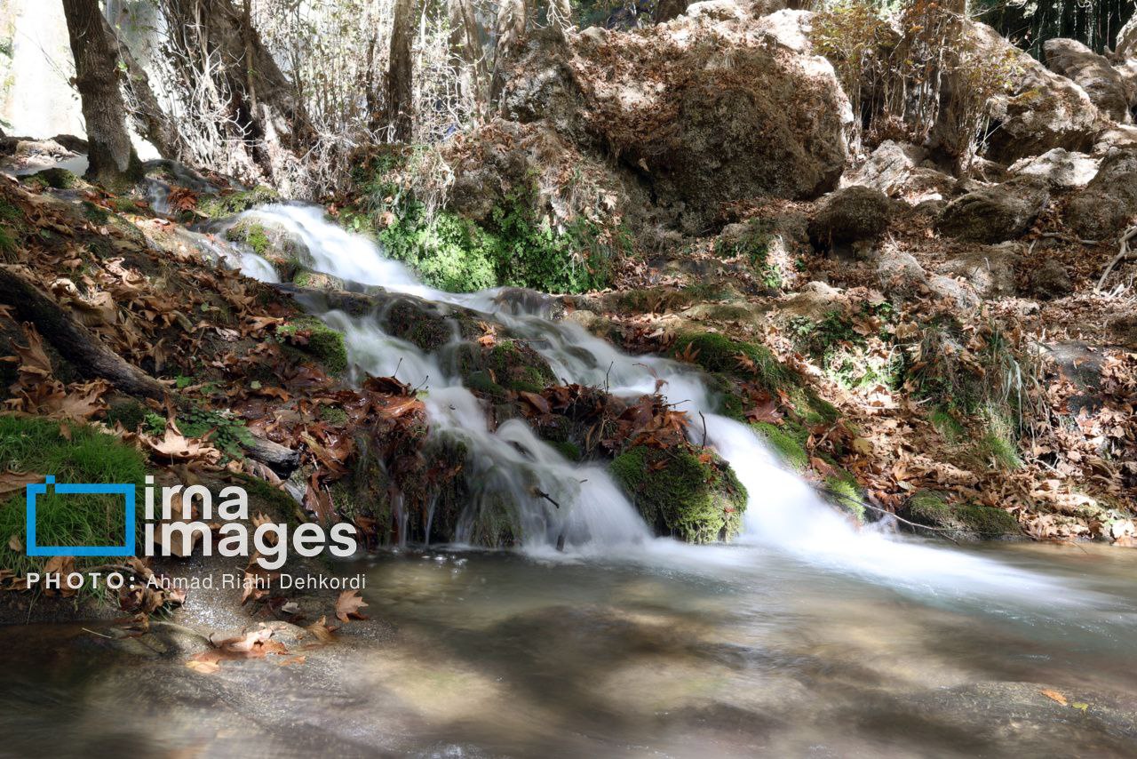 آبشار «زردلیمه» سکوت پاییزی زاگرس