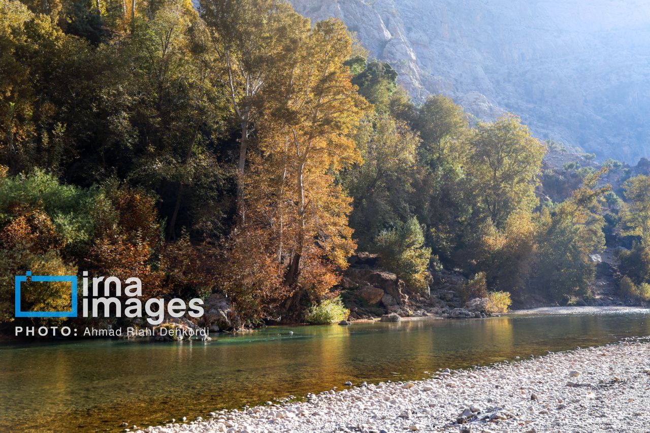 آبشار «زردلیمه» سکوت پاییزی زاگرس