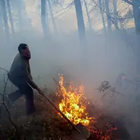جنگل نور آتش گرفت