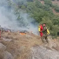 مهار آتش در دو نقطه جنگلی کلاردشت