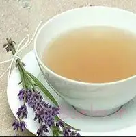 اسطوخودوس درمانگر مغز  