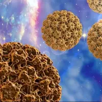 HPV و پیامدهای احتمالی آن در دوران بارداری