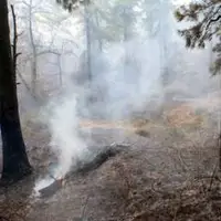  رئیس سازمان مدیریت بحران: آتش جنگل‌های الیت خاموش شده است