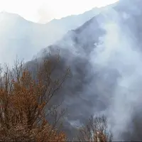 سازمان بازرسی به آتش‌سوزی جنگل‌های الیت ورود کرد