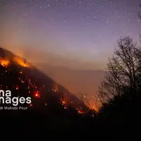 آتش‌سوزی در نقاط مختلف جنگل‌های مازندران مهار شد