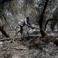 سه هکتار از عرصه جنگلی کارمزد سوادکوه دچار حریق شد