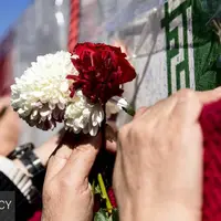 خدایا گل من که نیلی نبود،جواب محبت که سیلی نبود...