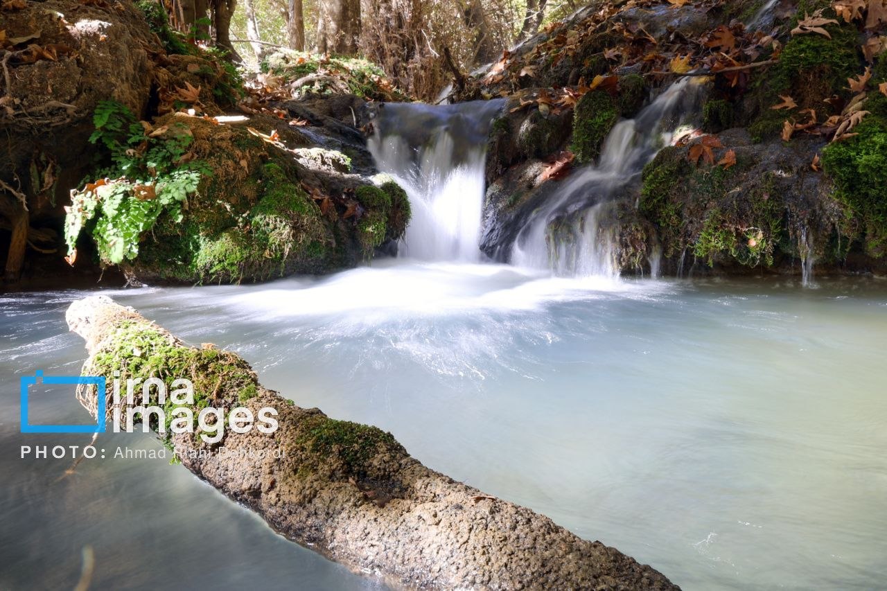 آبشار «زردلیمه» سکوت پاییزی زاگرس