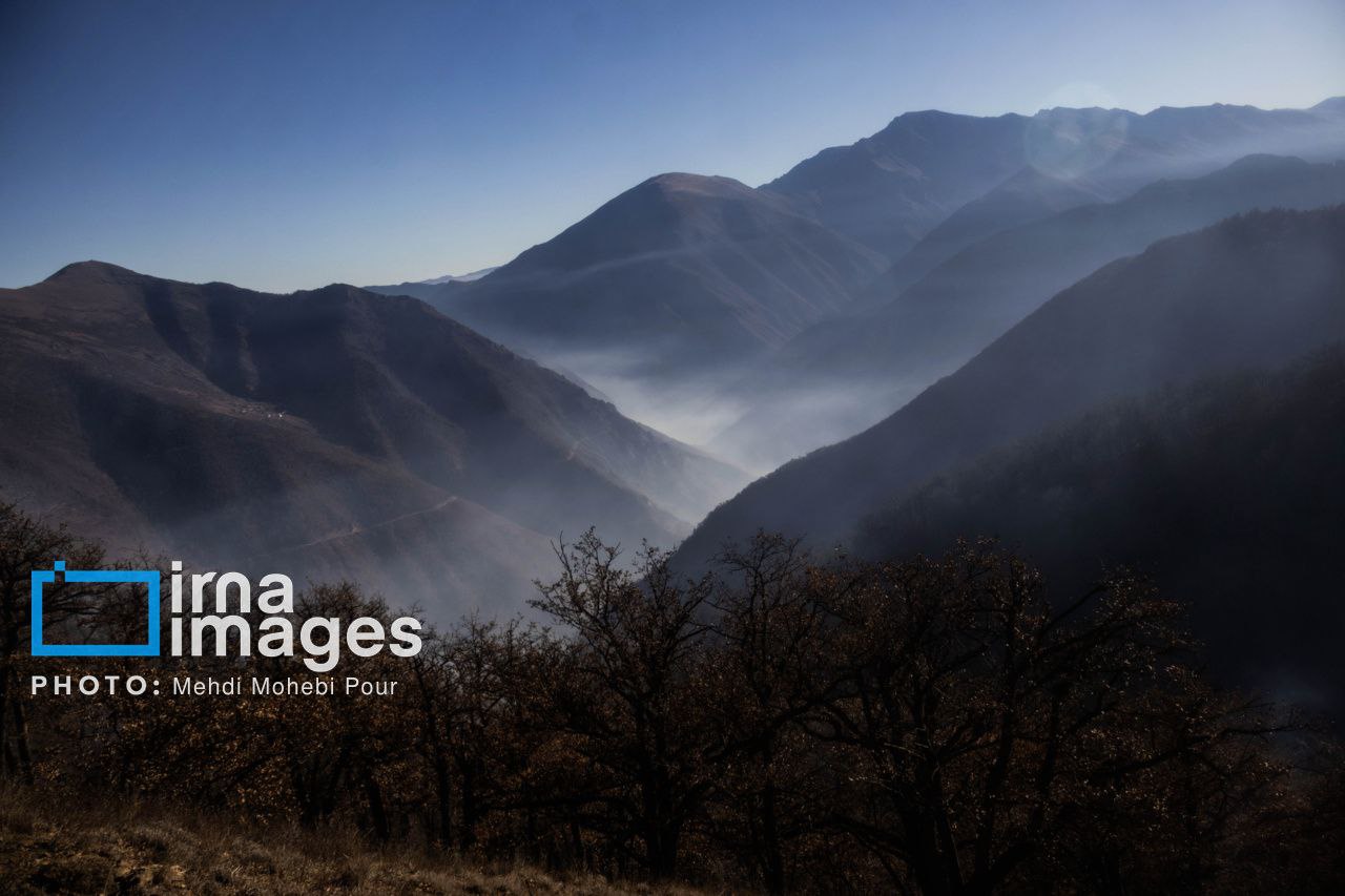 عکس/مهار آتش‌سوزی جنگل الیت