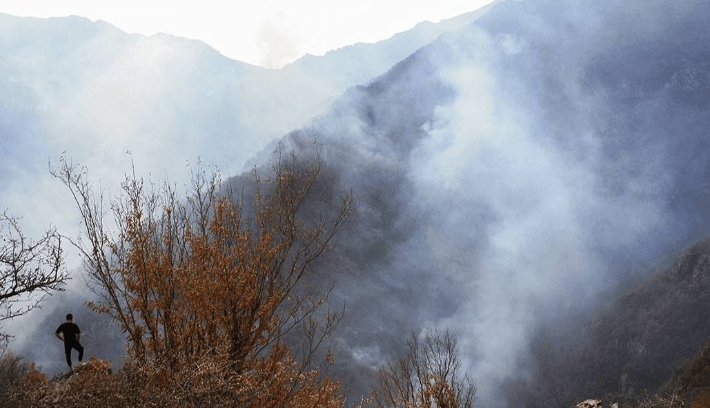 سازمان بازرسی به آتش‌سوزی جنگل‌های الیت ورود کرد