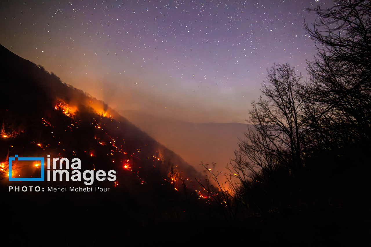 آتشسوزی در جنگلهای مازندران مهار شد