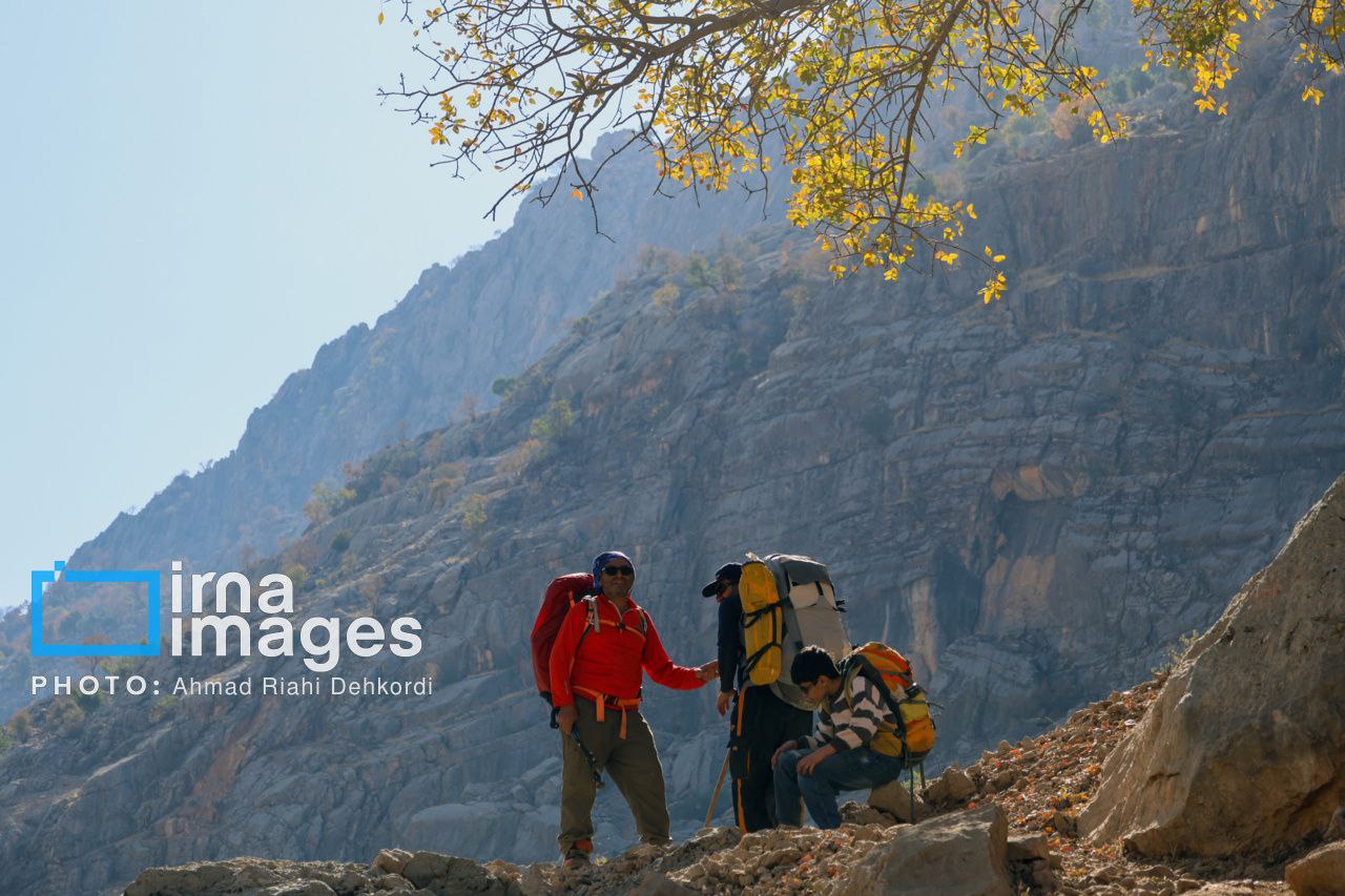 آبشار «زردلیمه» سکوت پاییزی زاگرس