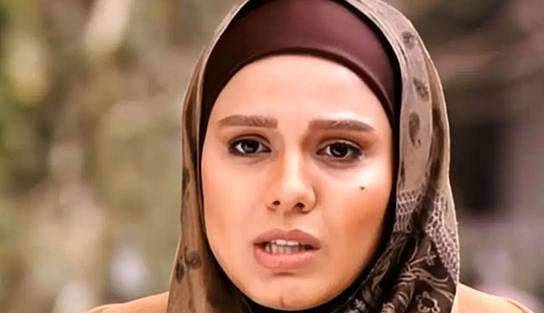 چهره ها/ «باران» سریال آوای باران در حال خوشگذرانی کنار آبشار نیاگارا