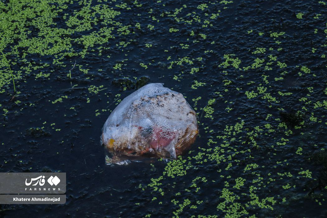 خزر در خطر !