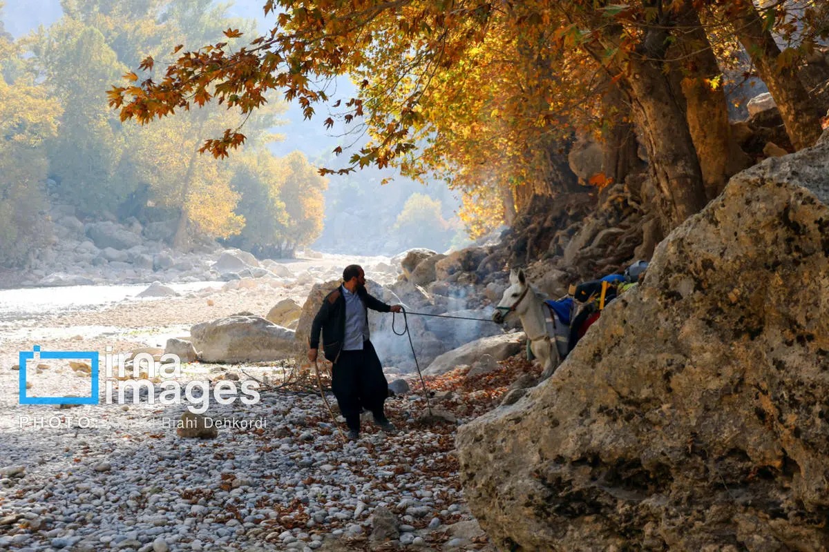  آبشار زردلیمه؛ سکوت پاییزی زاگرس