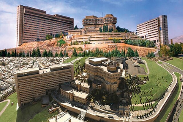 دانشگاه شیراز در شمار ۵۰۰ دانشگاه برتر جهان در رتبه‌بندی موضوعی شانگهای ۲۰۲۵