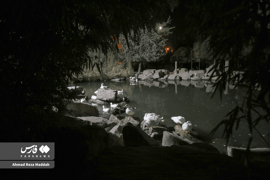 تصاویر دیدنی از باغ ارم شیراز