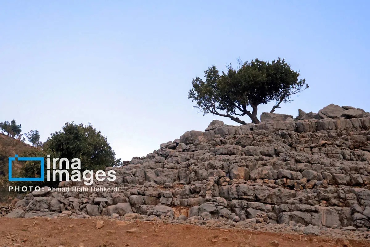  آبشار زردلیمه؛ سکوت پاییزی زاگرس