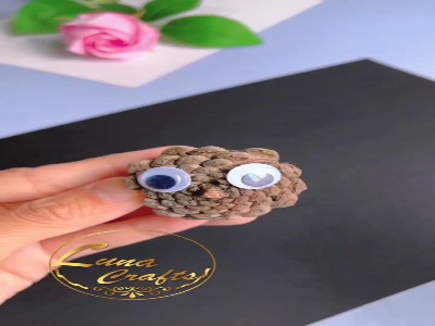 با میوه های درخت کاج این جغدهای گوگولی رو درست کنید