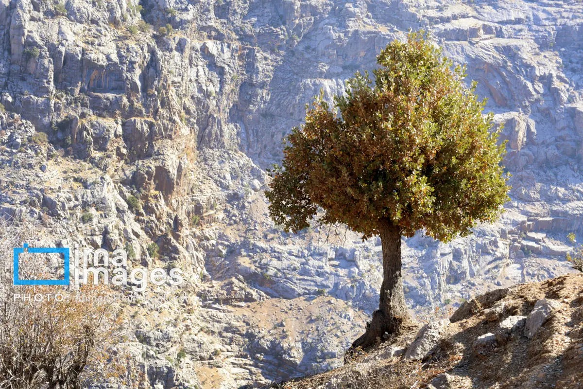  آبشار زردلیمه؛ سکوت پاییزی زاگرس