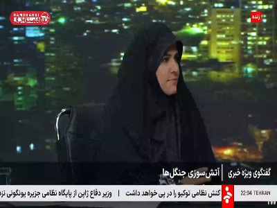 واکنش عجیب رئیس سازمان منابع طبیعی به سوالی در مورد خسارت آتش‌سوزی جنگل الیت