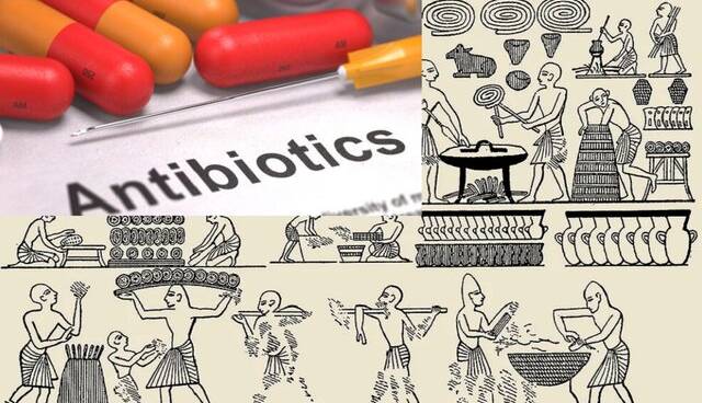 از کشف آنتیبیوتیک روی نانهای کپکزده مصر باستان تا معرفی پنیسیلین
