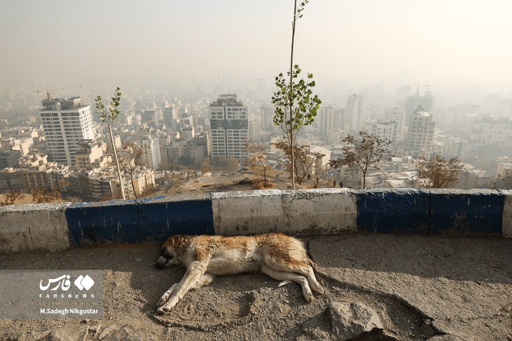 عکس/ نمایی از آلودگی تهران