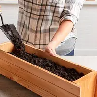 خرید بذر چمن یا قارچ، کدام‌یکی برای شروع درآمدزایی در خانه مناسب‌تر است؟