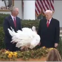 ترامپ صدای بوقلمون را تقلید کرد!