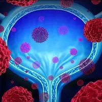 نقش مواد پروبیوتیک در عفونت‌های ادراری زنان