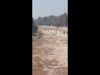 اسب‌سواری در بستر «زاینده‌رود» مجوز نداشت