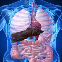 آیا می توان از سرطان های دستگاه گوارش جلوگیری کرد؟